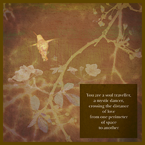 You are a Soul Traveller Greeting Card